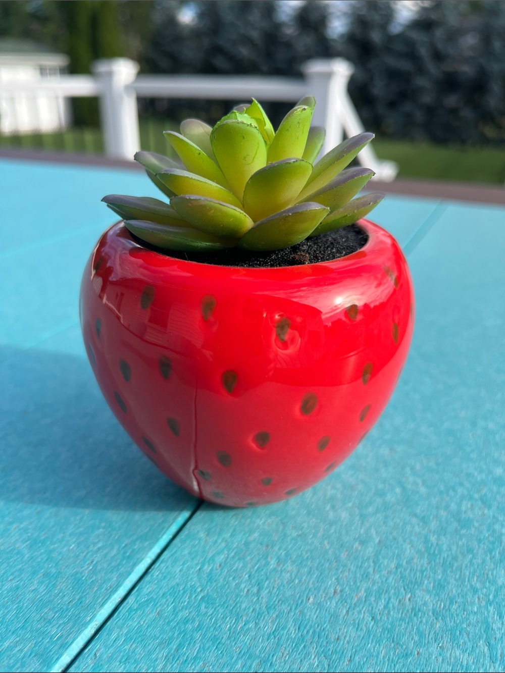 Faux Succulent - Strawberry